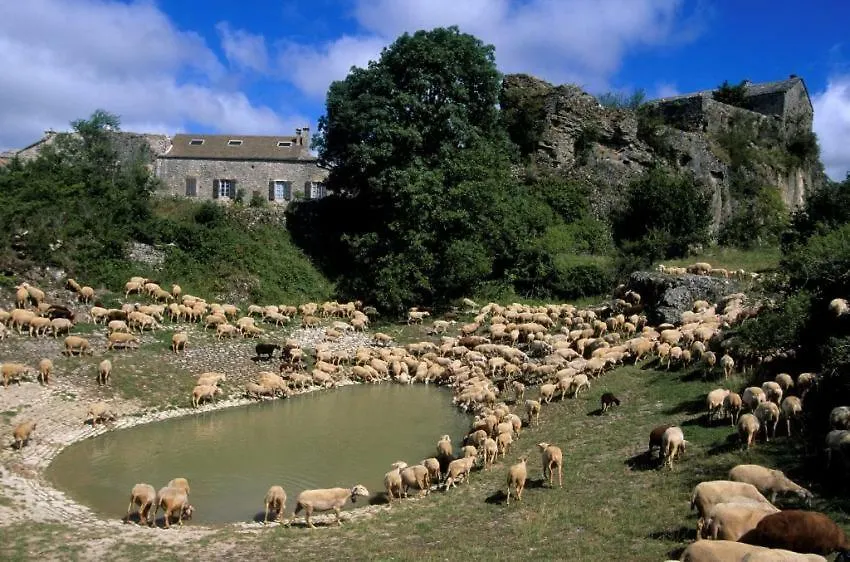 Viala-du-Tarn Casteljosse - Nature Calme Et Serenite